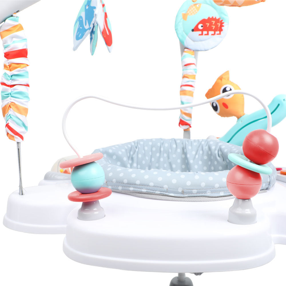 Centro De Actividad Forest Orange