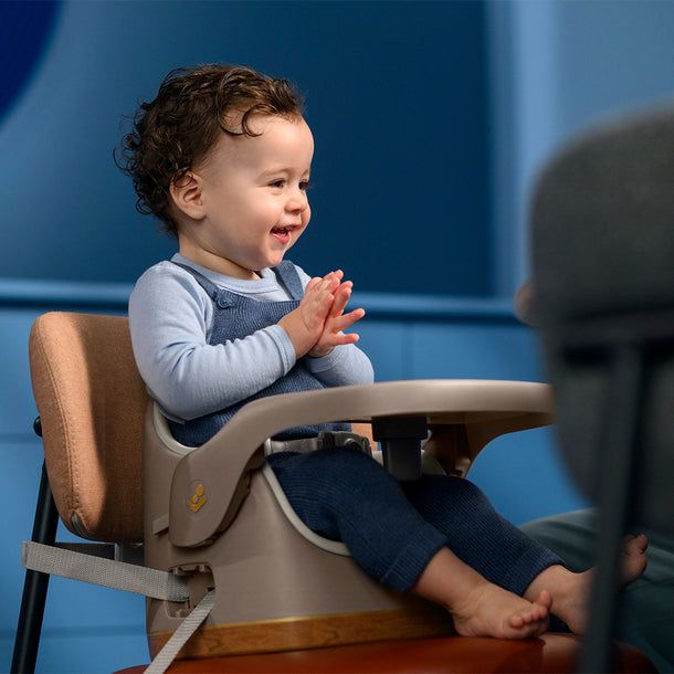 Silla de Comer Booster Jay Elegance Maxi Cosi