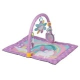 Gimnasio Sueños Magicos