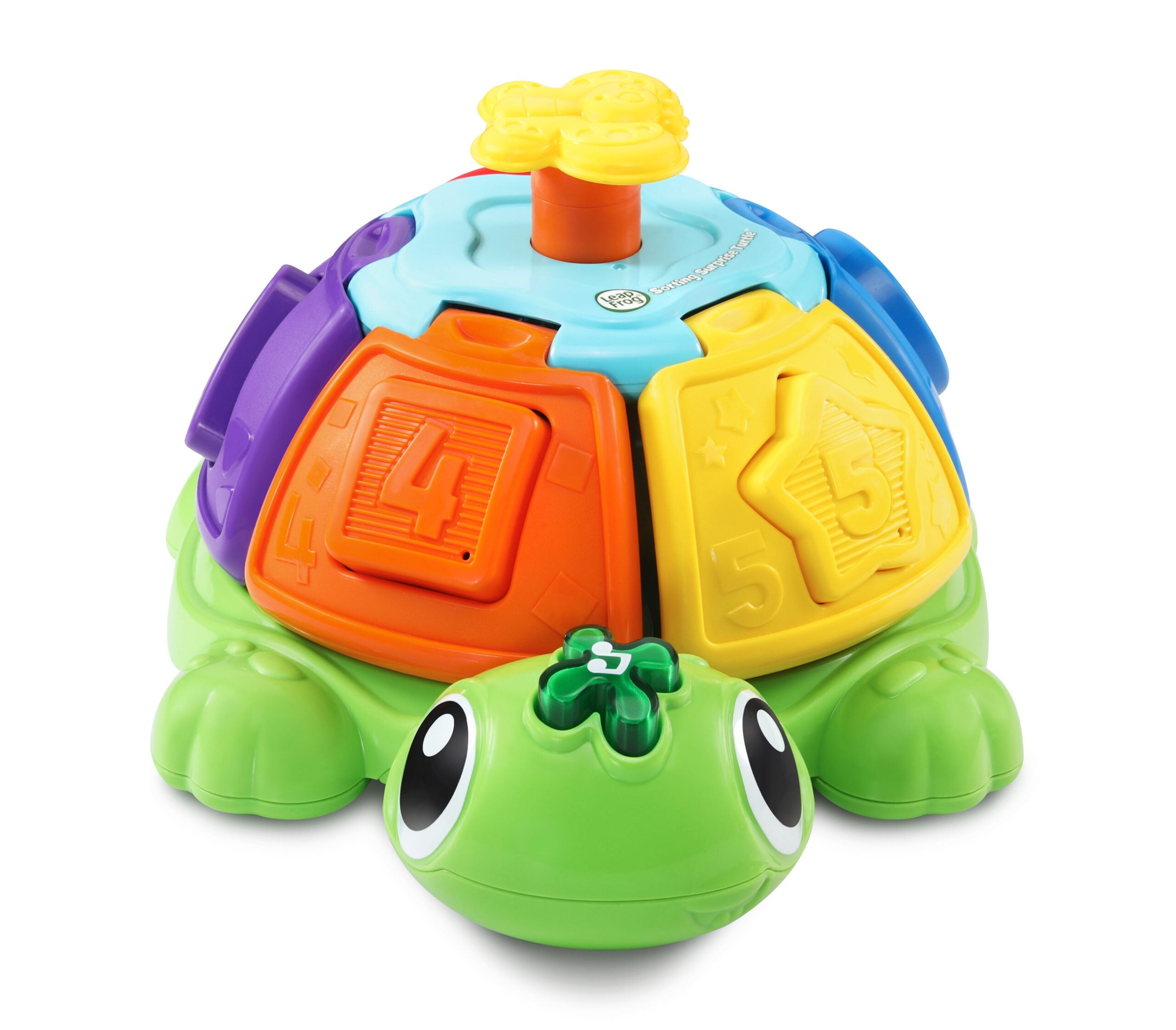 Tortuga Giros Y Sorpresas