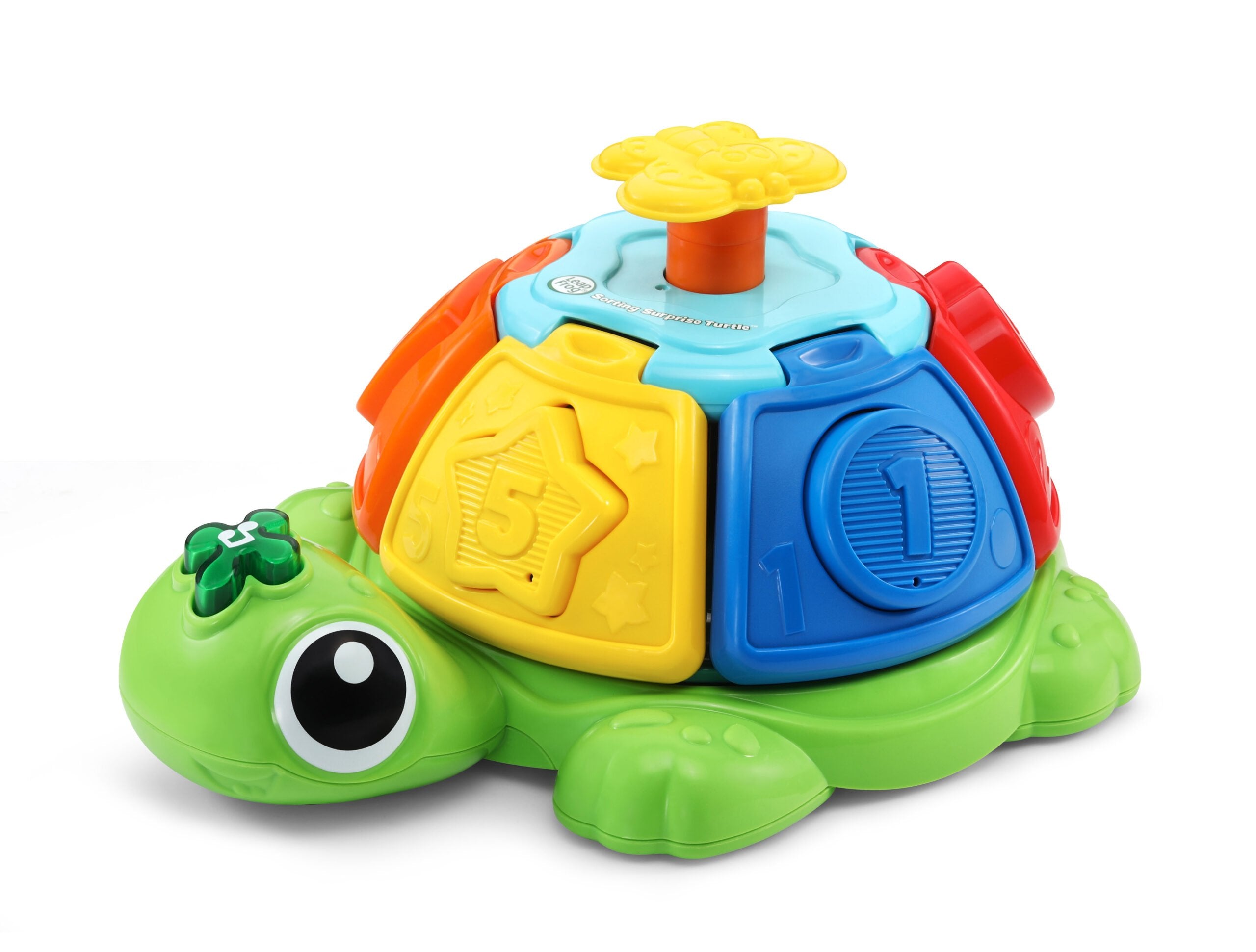 Tortuga Giros Y Sorpresas