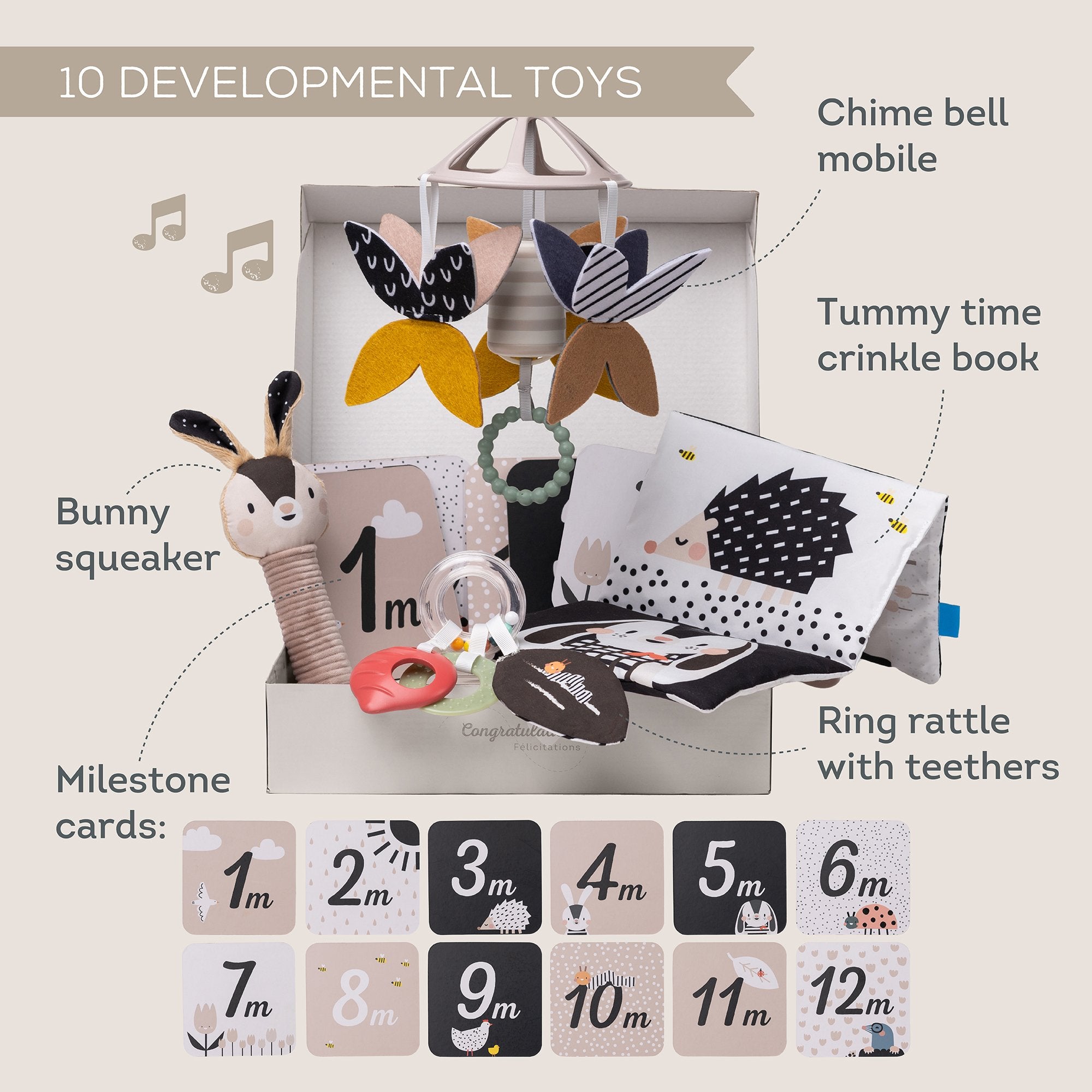 Kit Recién Nacido Black & White