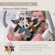 Kit Recién Nacido Black & White