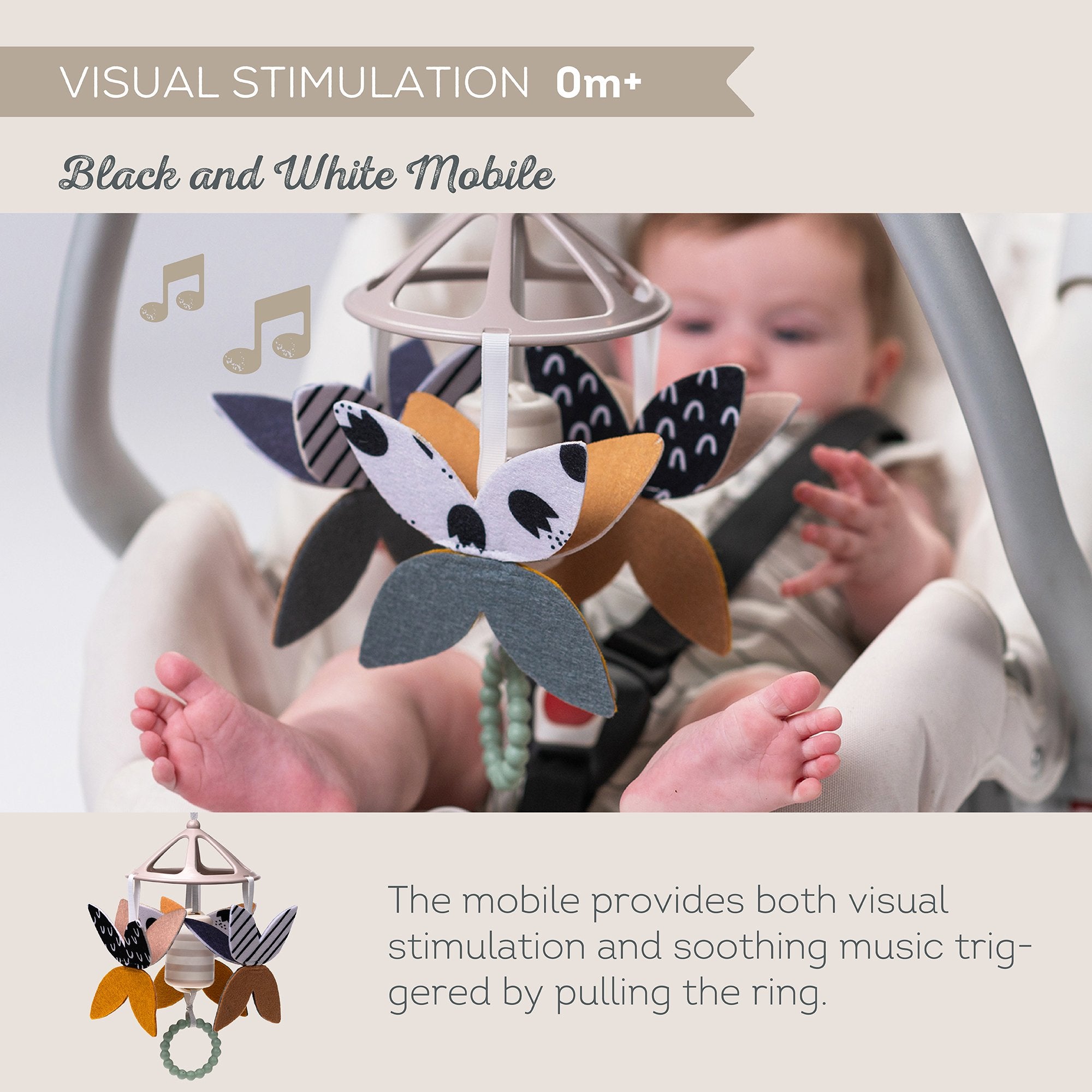 Kit Recién Nacido Black & White