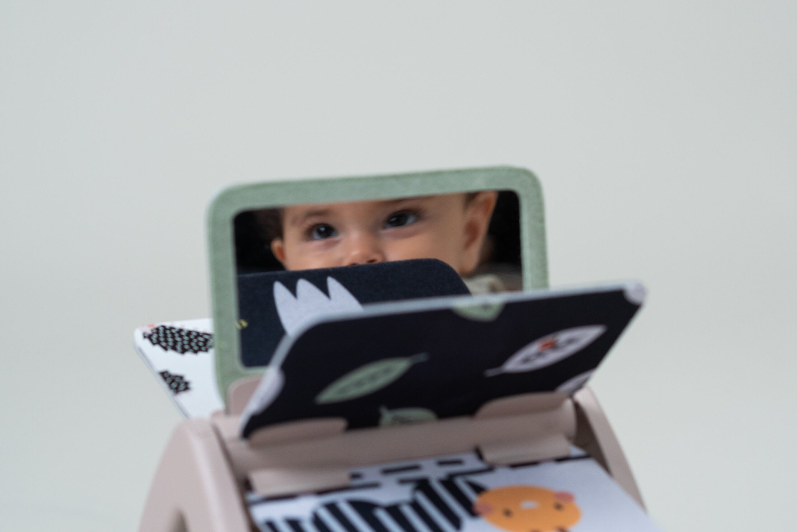 Libro De Aprendizaje Black & White Taf Toys