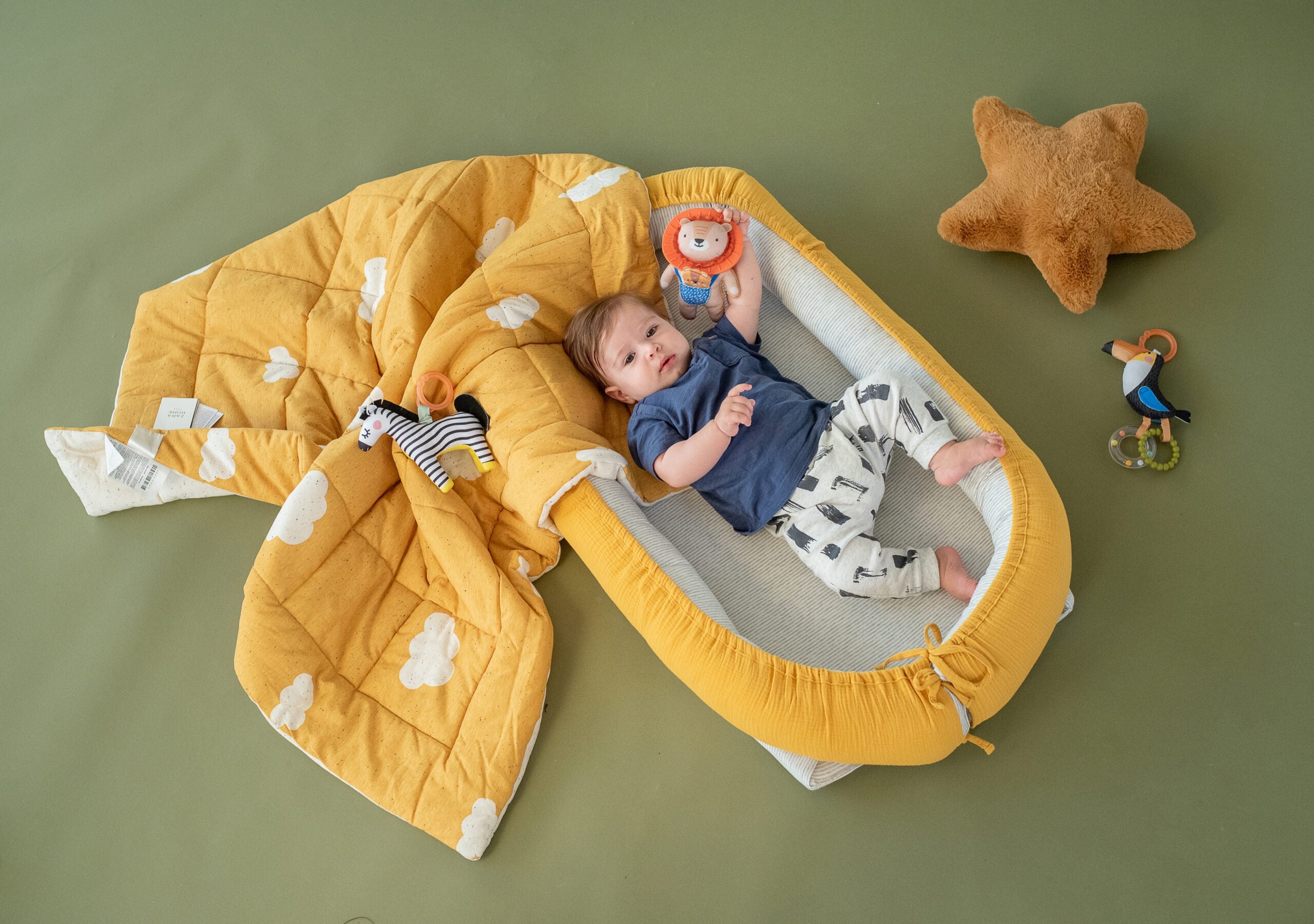 Juguete Mordedor Harry The Lion Taftoys