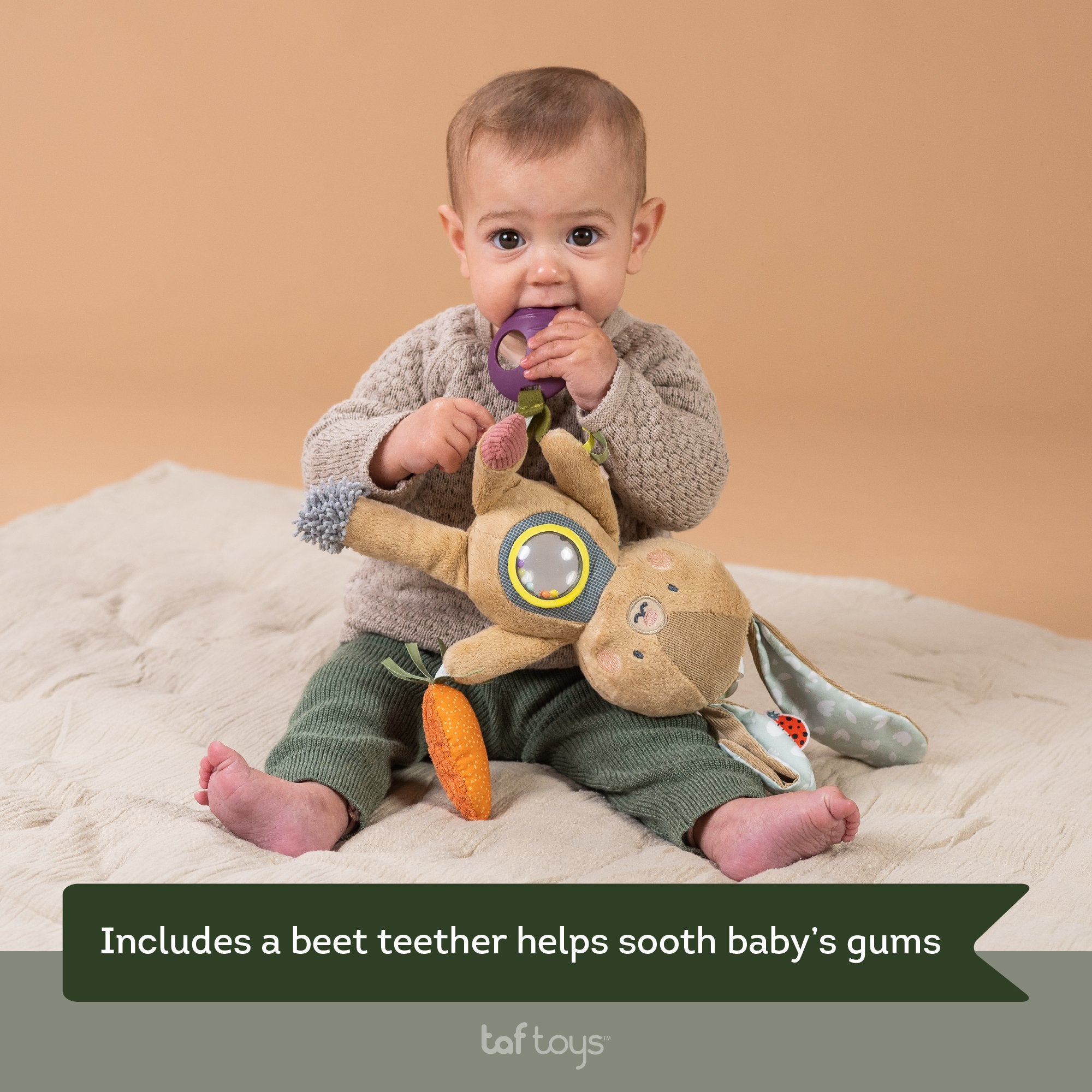 Sonaja Mordedor Jenny Activity Taftoys