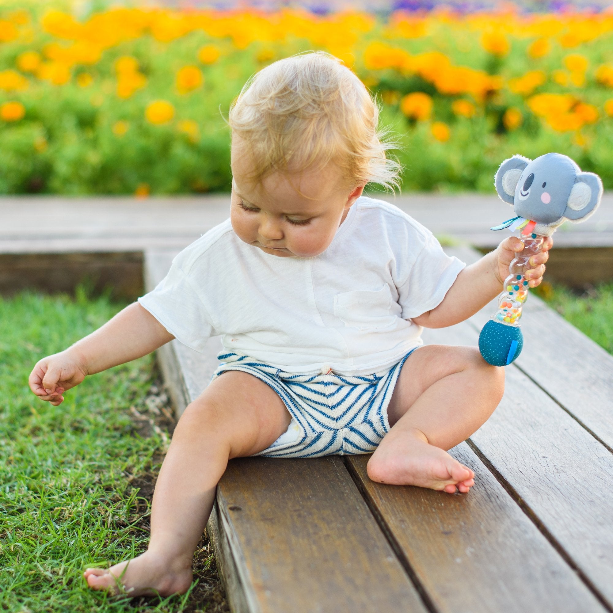 Sonajero  Koala Rainstick Taftoys