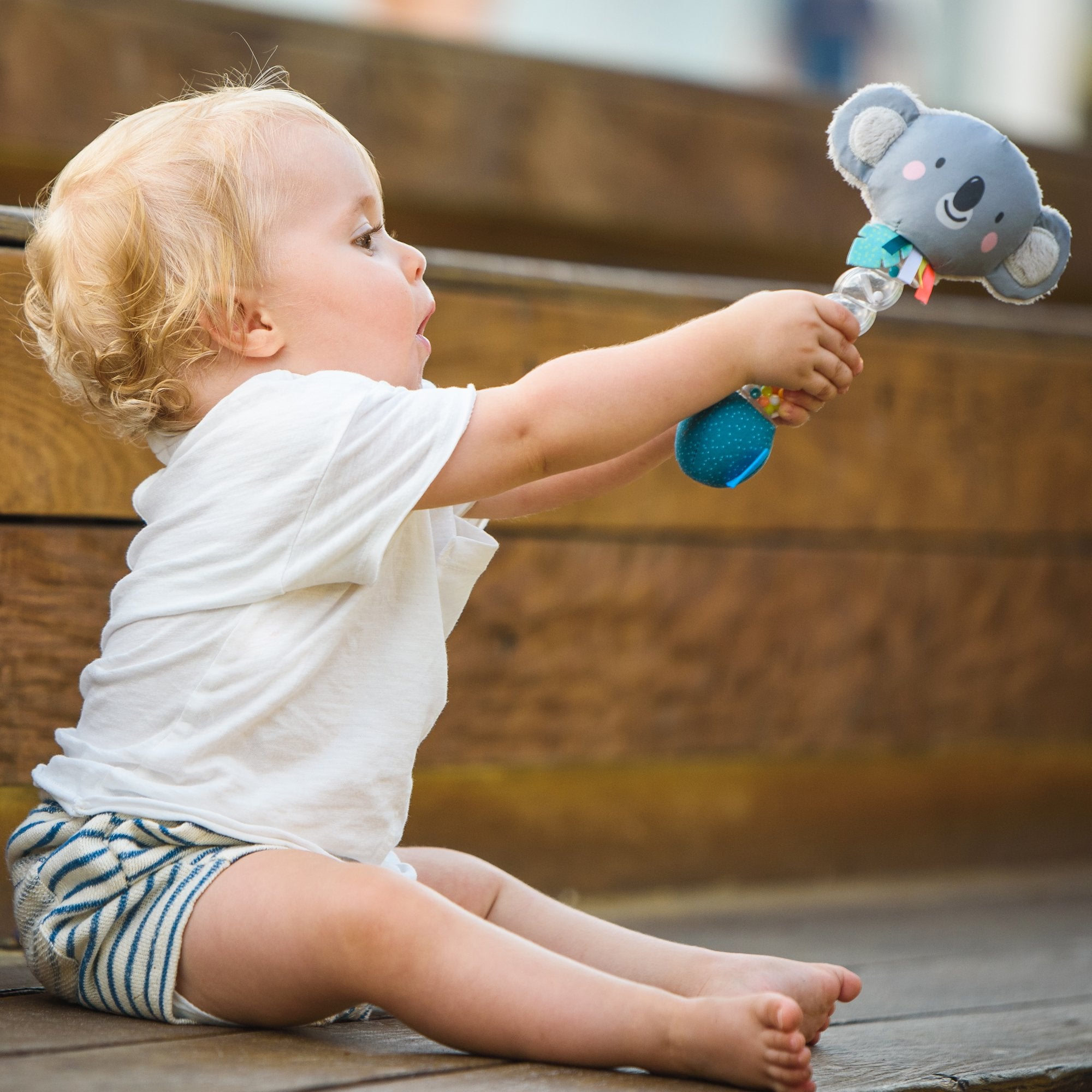 Sonajero  Koala Rainstick Taftoys