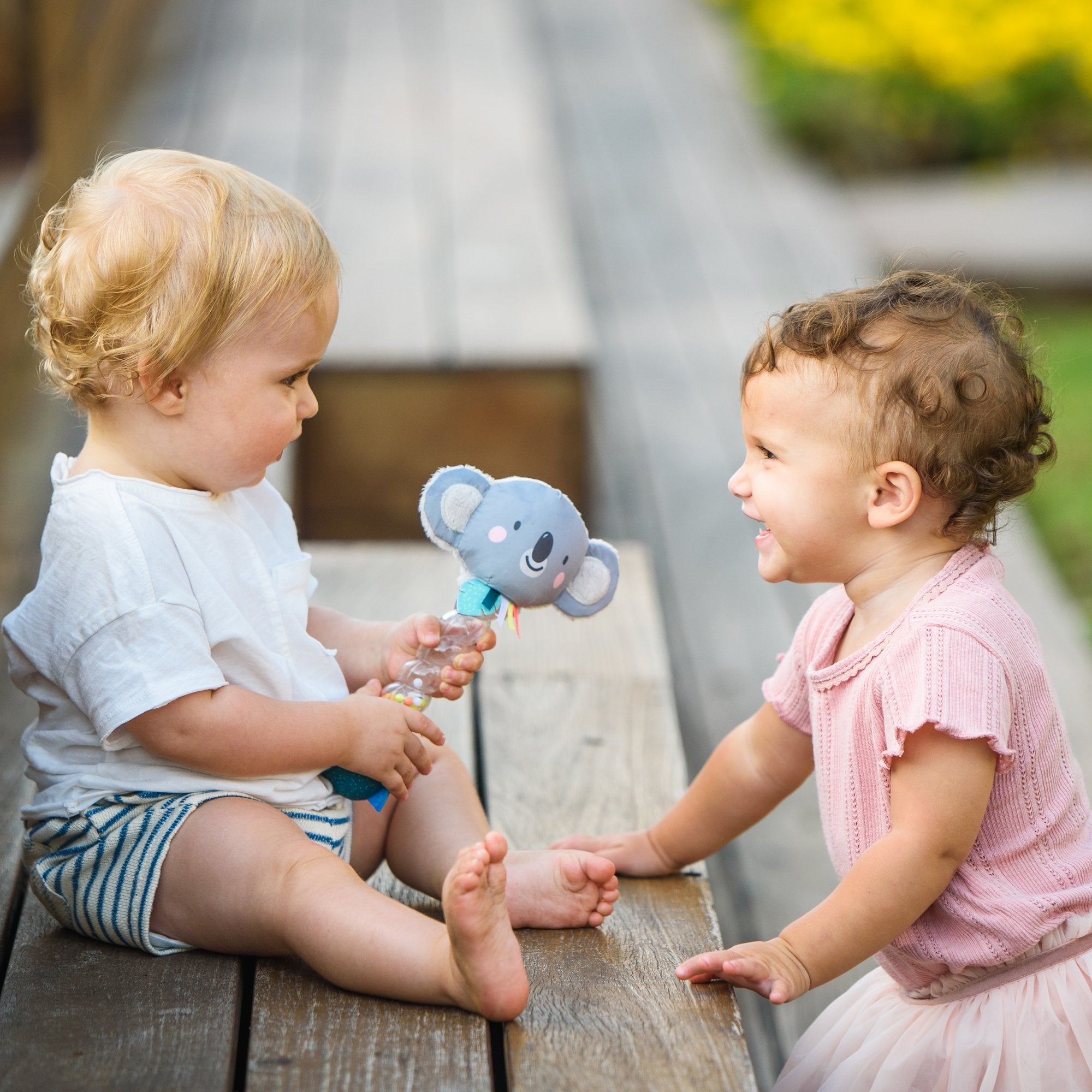 Sonajero  Koala Rainstick Taftoys