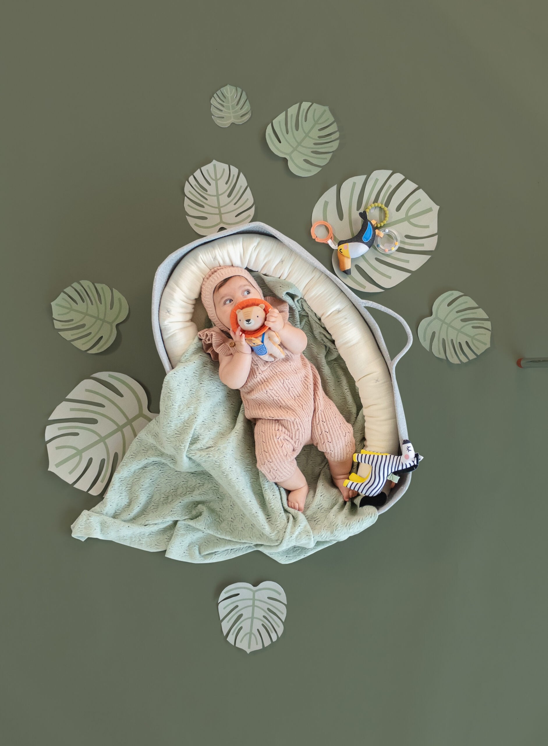 Juguete Mordedor Harry The Lion Taftoys