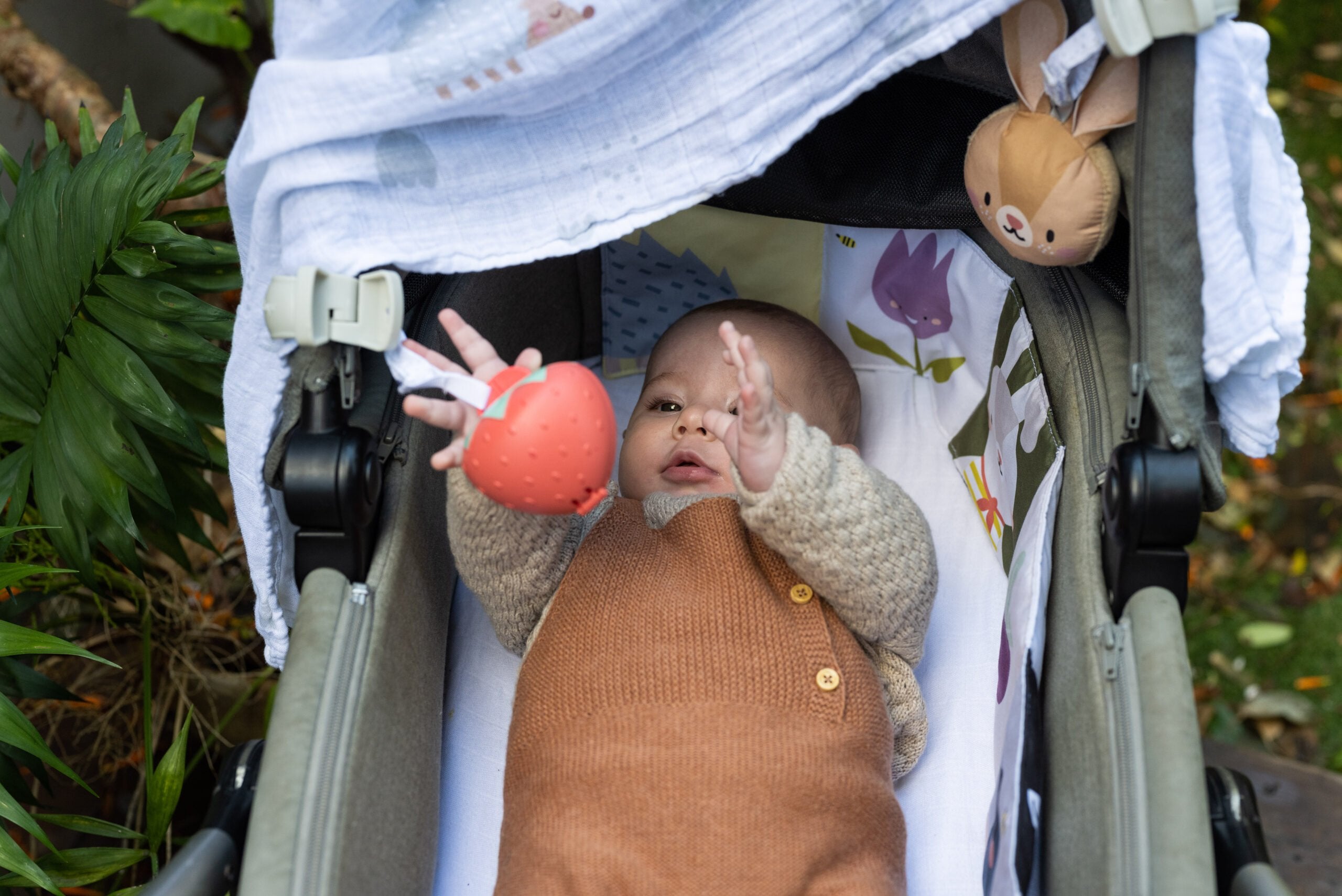 Kit Outdoors Taftoys