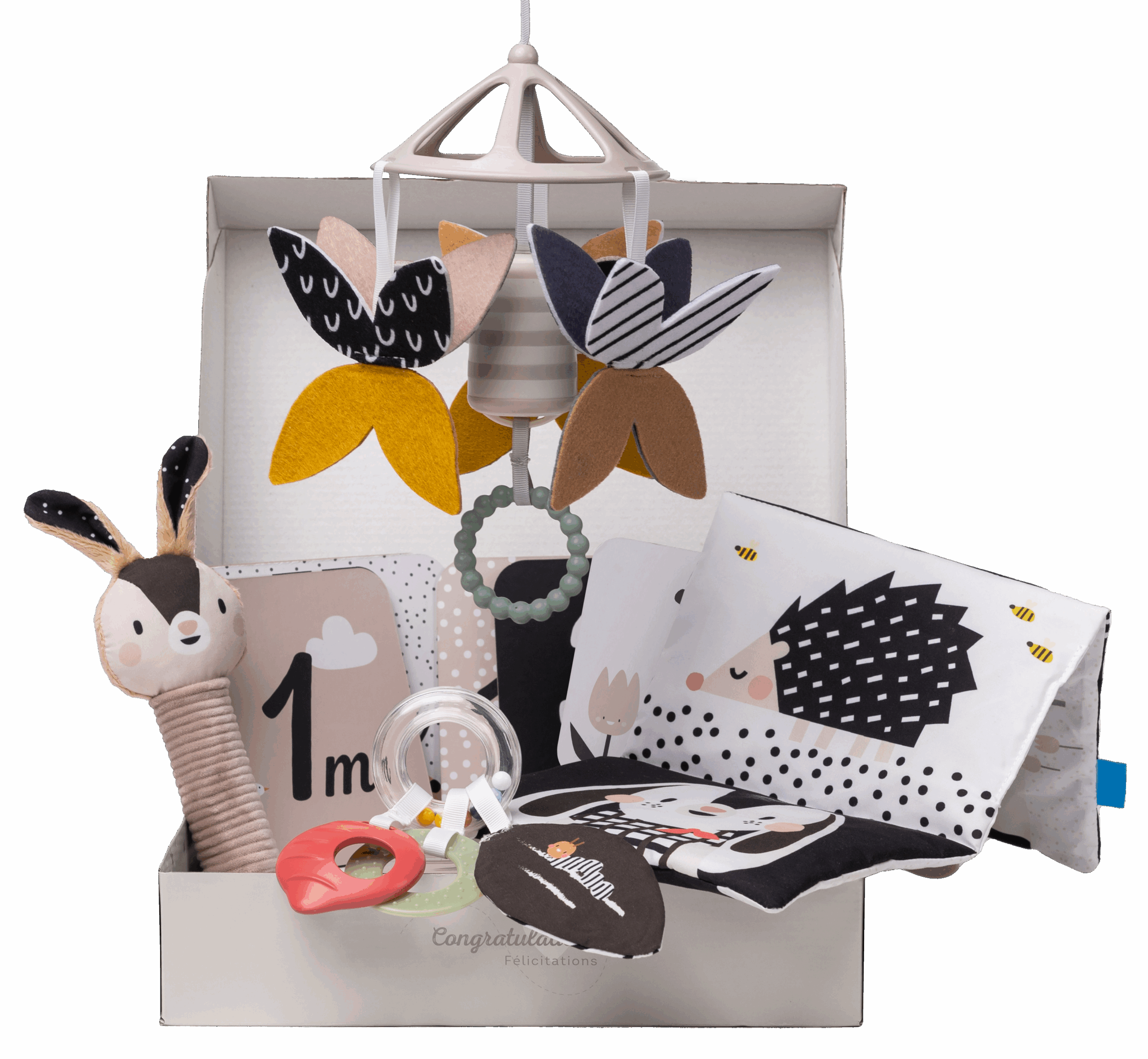 Kit Recién Nacido Black & White