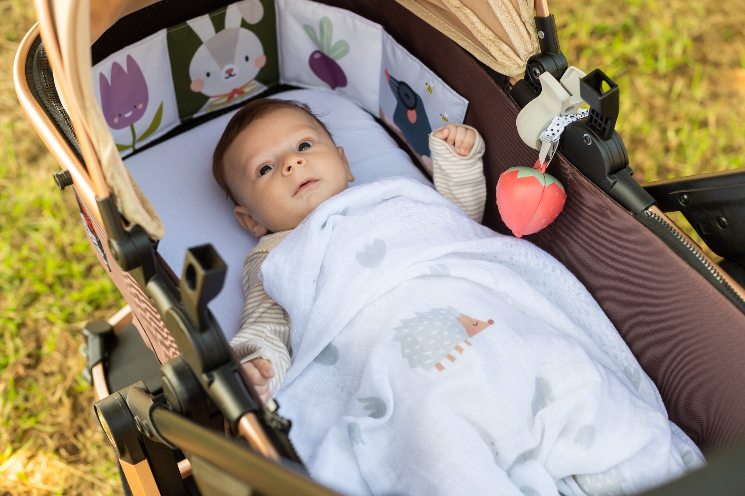 Kit Outdoors Taftoys