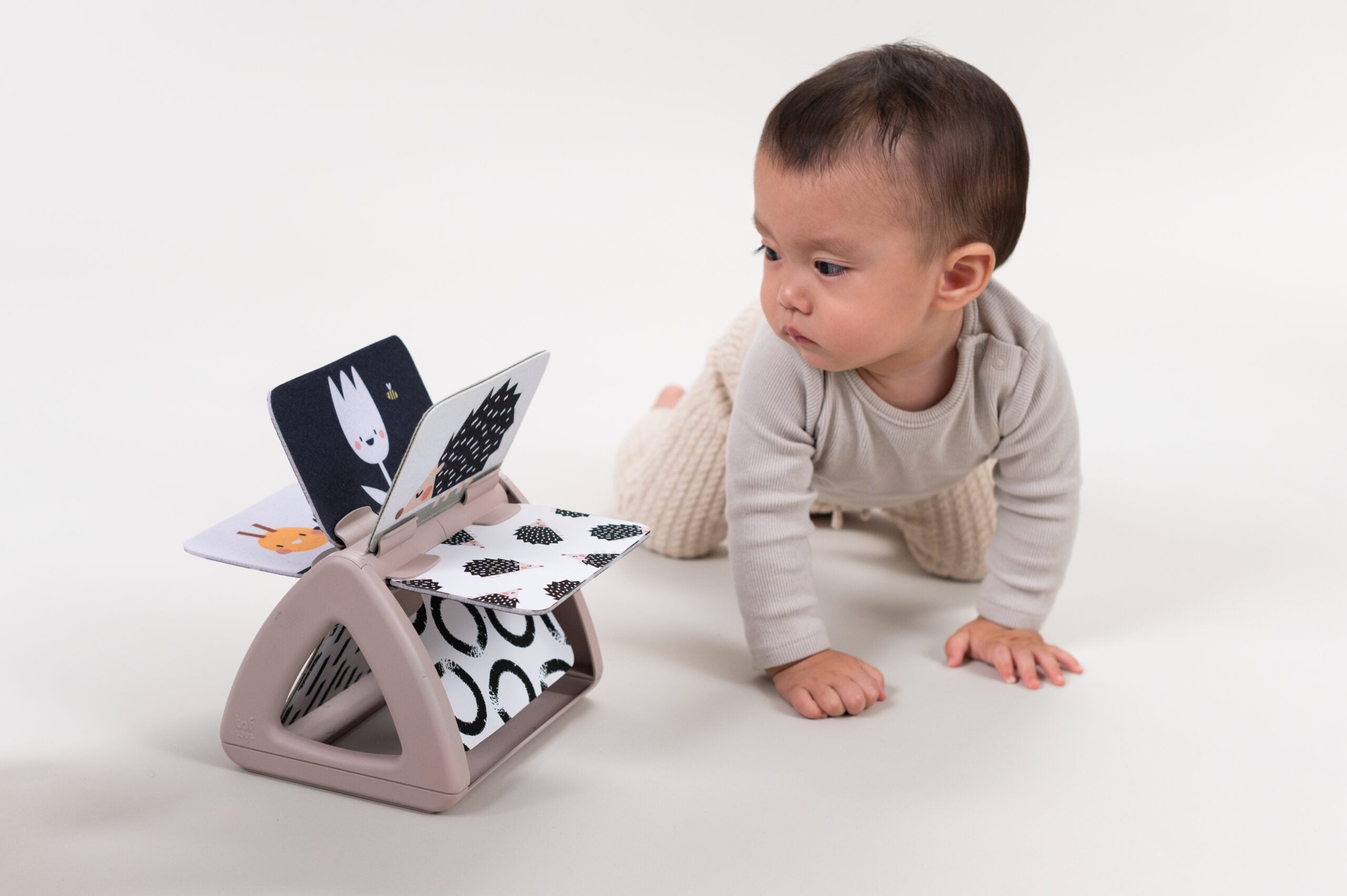 Libro De Aprendizaje Black & White Taf Toys
