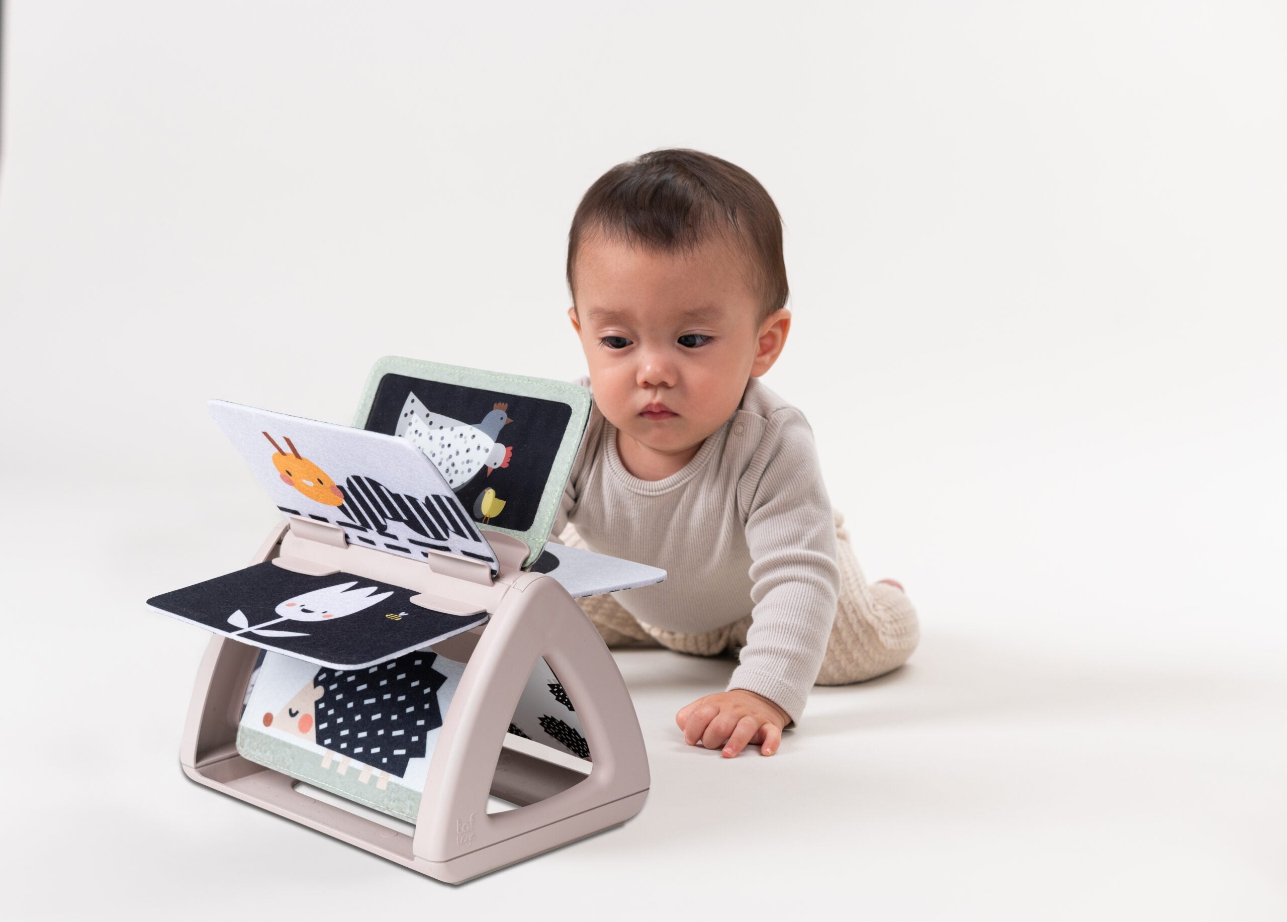 Libro De Aprendizaje Black & White Taf Toys