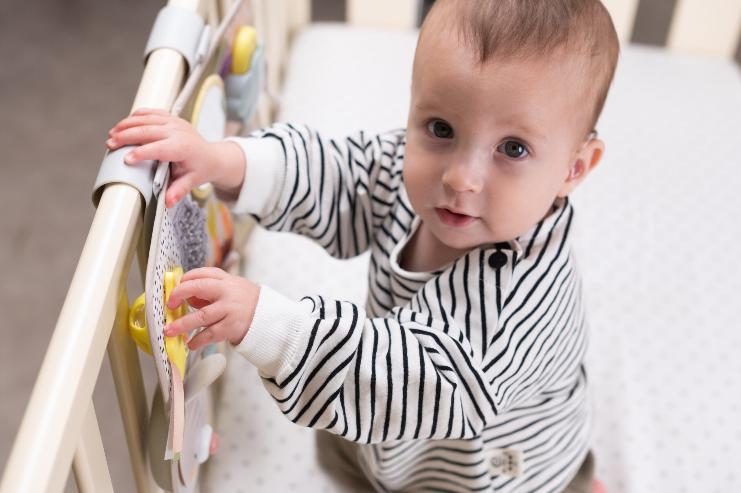 Centro De Actividades Y Desarrollo Taftoys