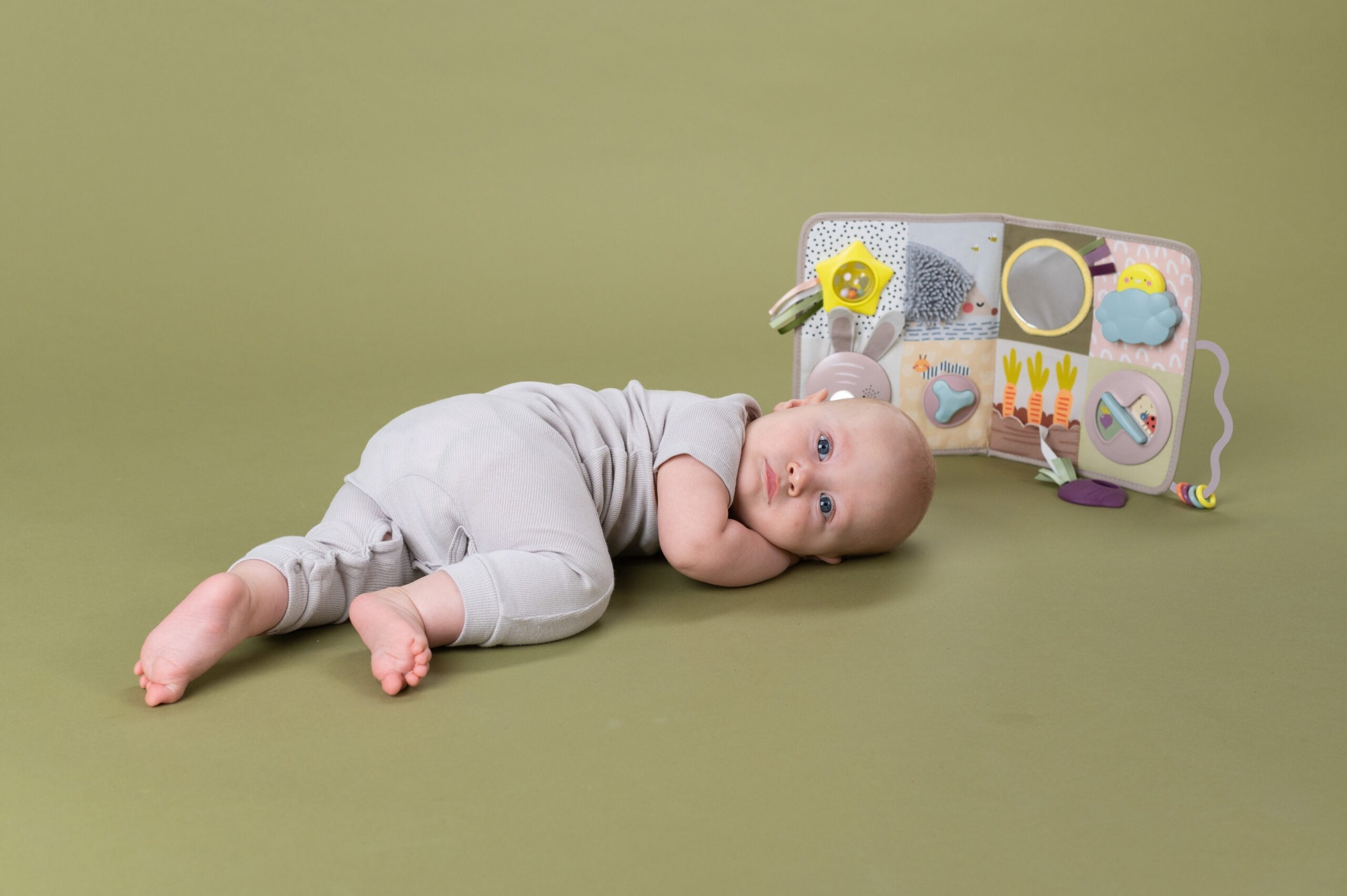 Centro De Actividades Y Desarrollo Taftoys