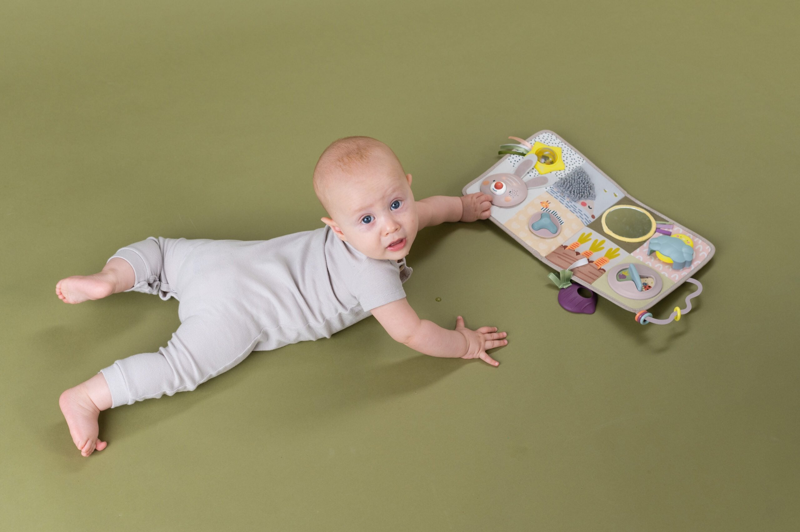 Centro De Actividades Y Desarrollo Taftoys