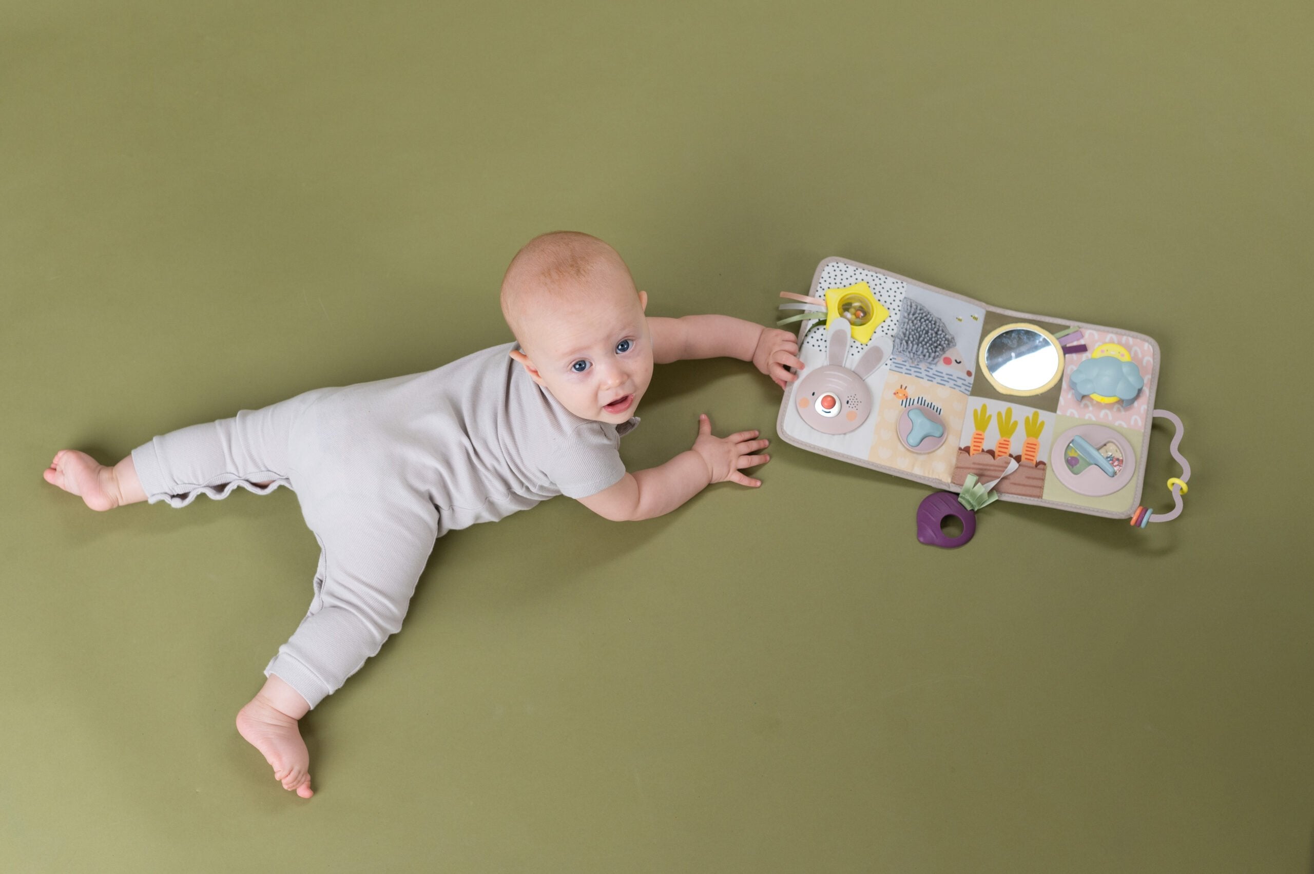 Centro De Actividades Y Desarrollo Taftoys