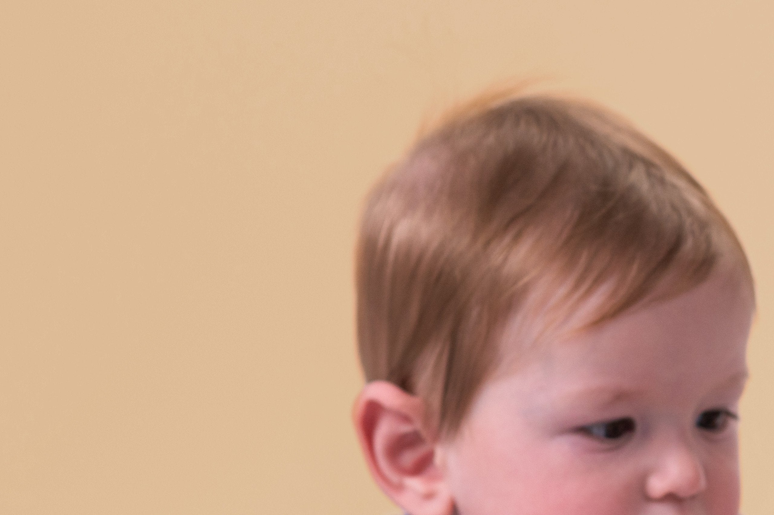 Camion Apilador De Conejitos Taftoys