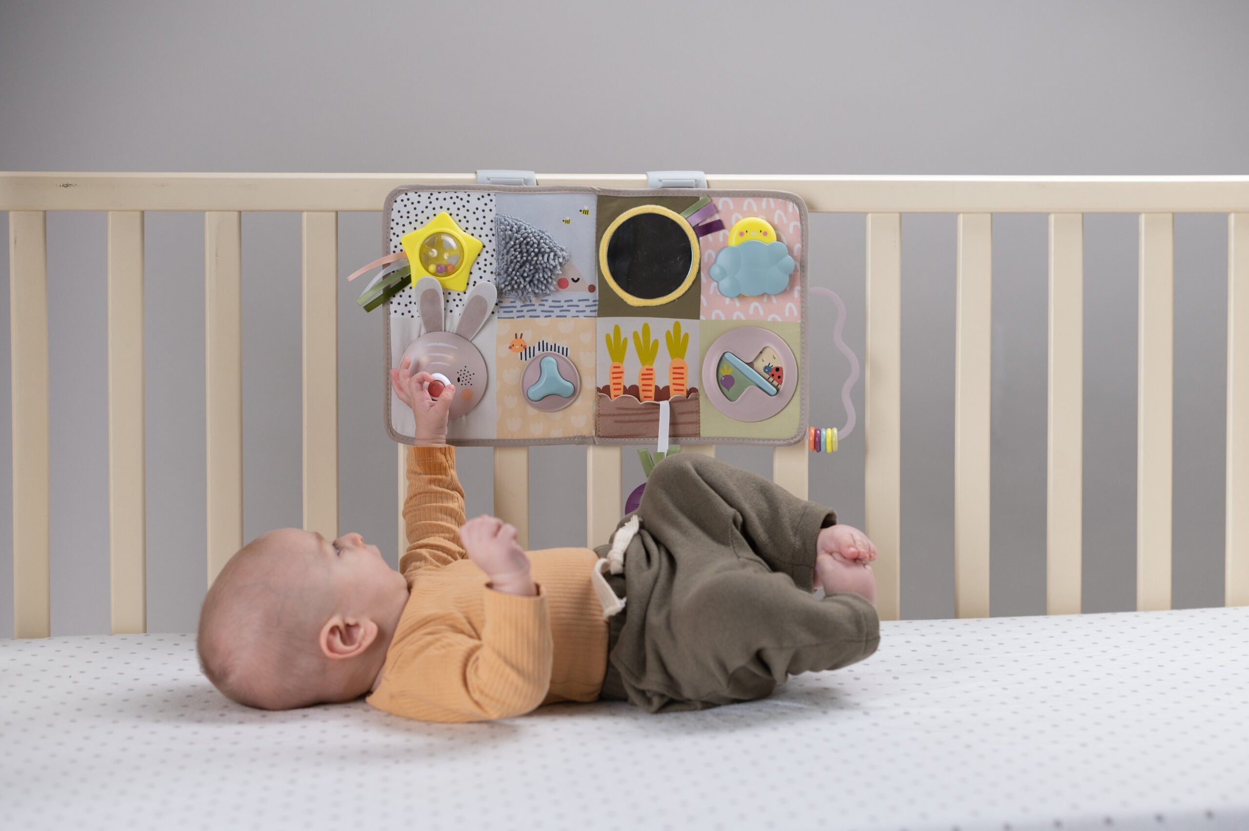 Centro De Actividades Y Desarrollo Taftoys