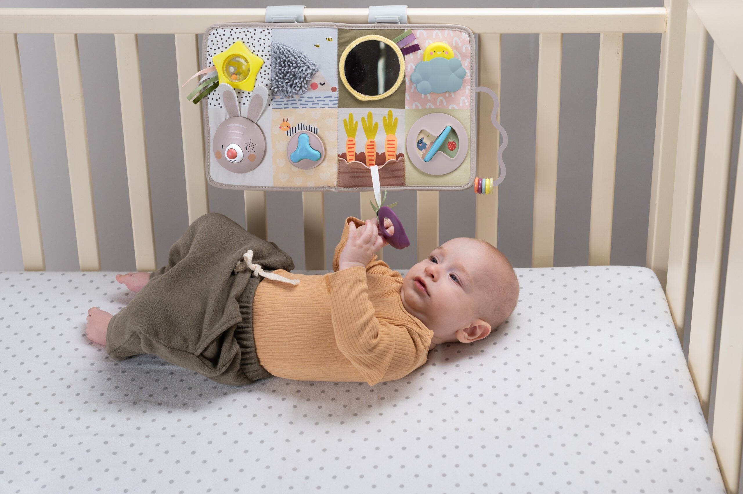 Centro De Actividades Y Desarrollo Taftoys