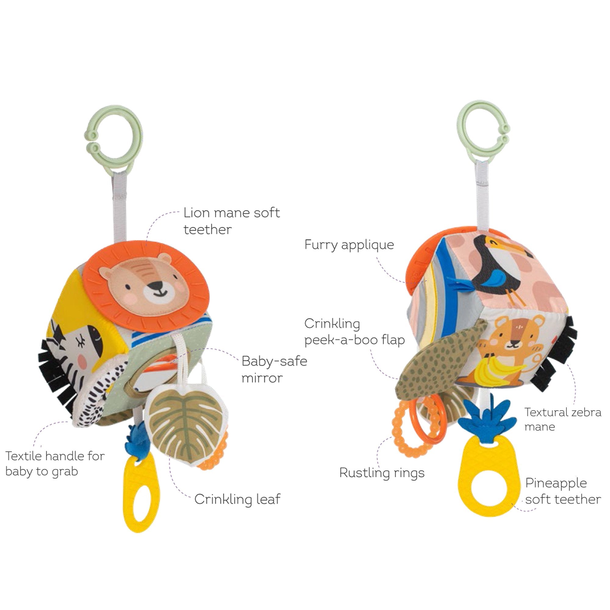 Cubo De Descubriento Savannah