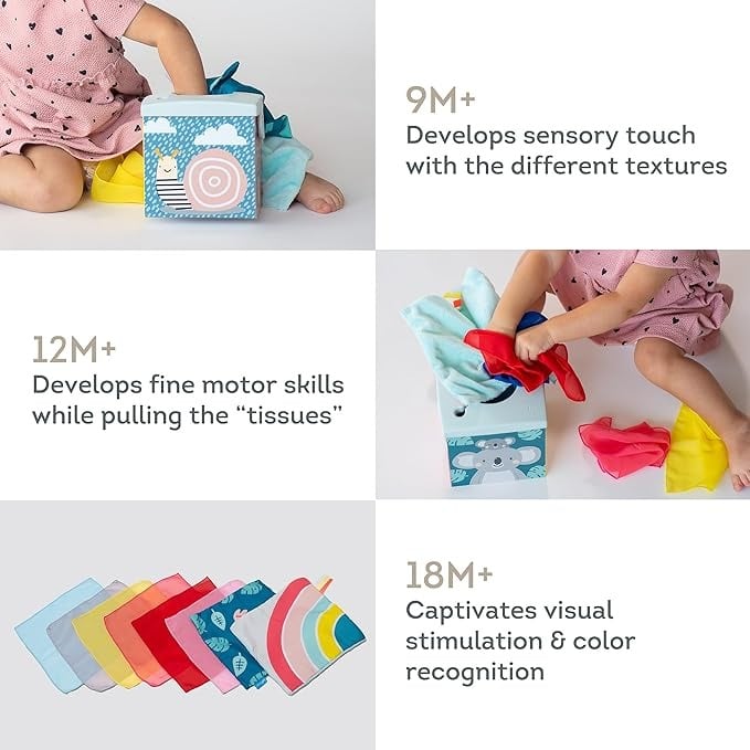 Caja De Pañuelos Kimmy Koala Wonder Taftoys