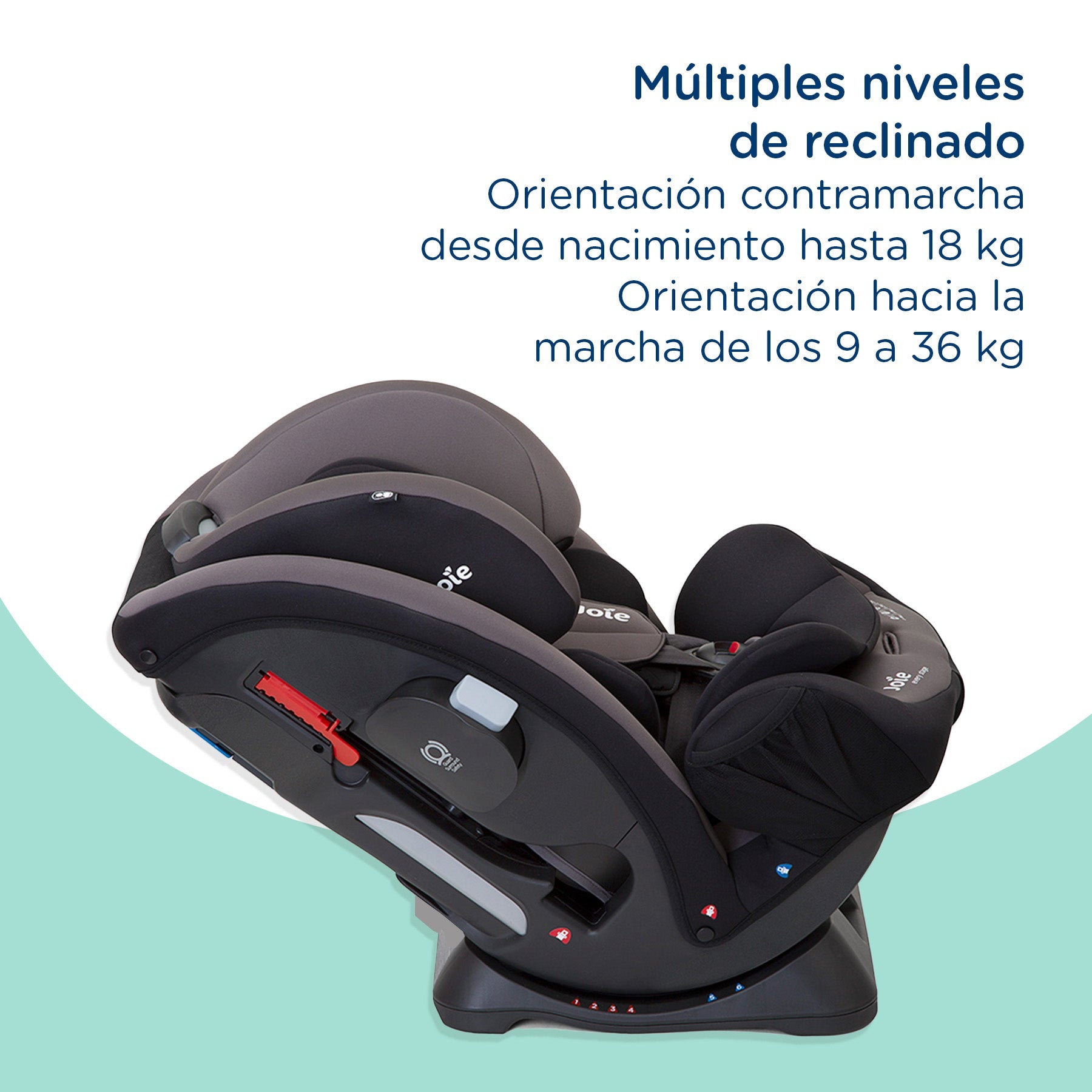 Silla De Auto Convertible Every Stage Ember