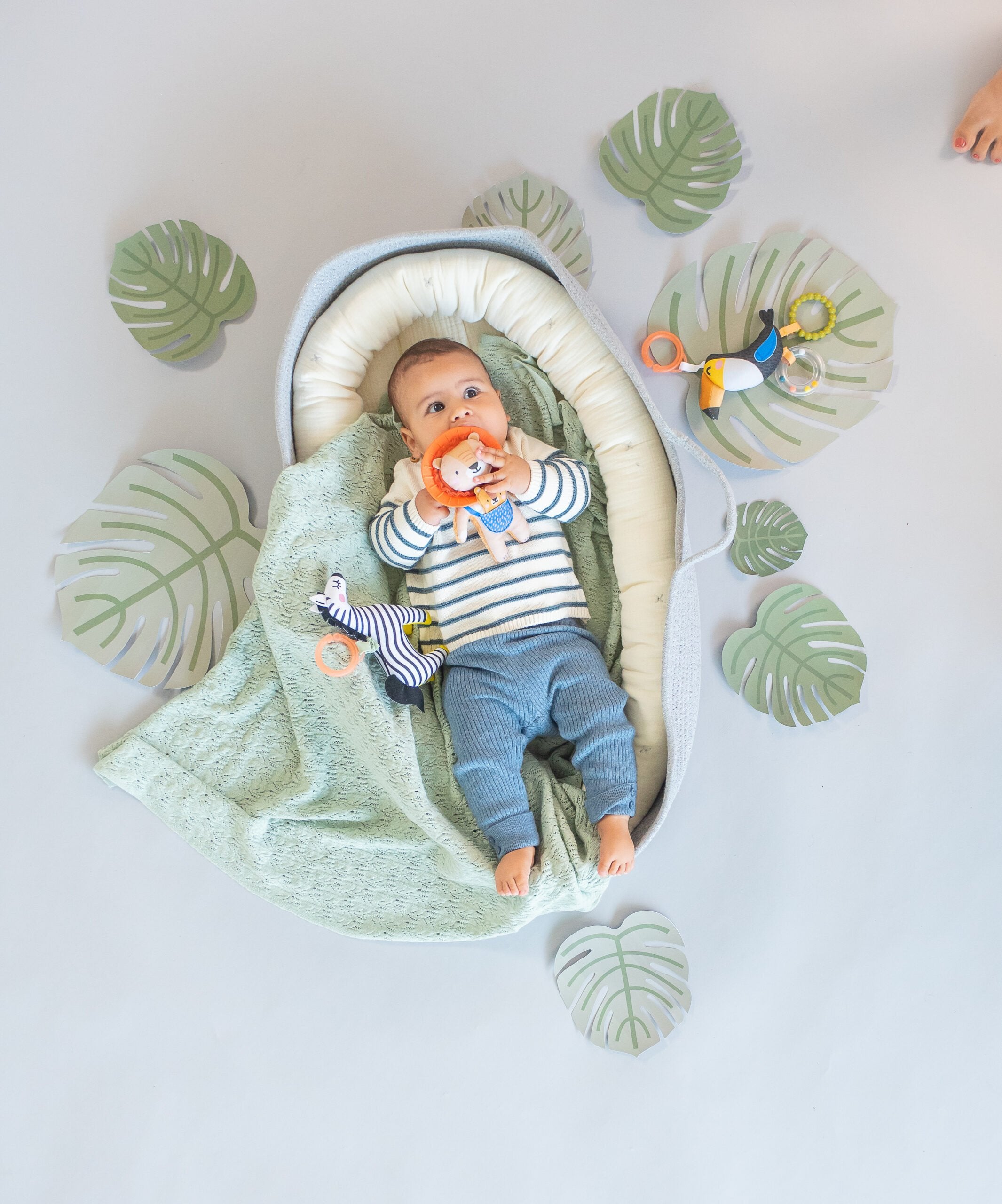 Juguete Mordedor Harry The Lion Taftoys